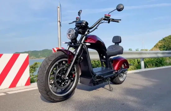 2020 New Products Big Two Wheels Citycoco Electrics Cooter with High Quality 
