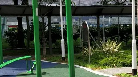 Premium Outdoor Fitness Horizontal Bars for Healthy Workouts 