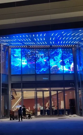 Pushunled Transparent LED Display for Exhibition Hall Sexy Screen 